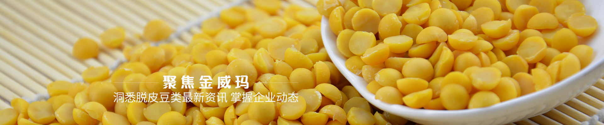 金威瑪洞悉脫皮豆類最新資訊 掌握企業(yè)動(dòng)態(tài)